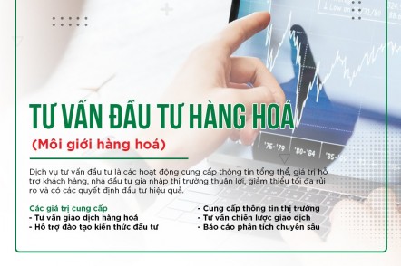 Tư vấn đầu tư hàng hoá