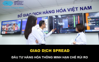 Mercantile Exchange of Vietnam (MXV) started to organize Spread trading