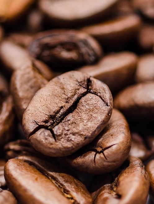 CÀ PHÊ ROBUSTA